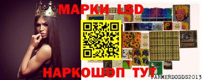 индика Гудермес