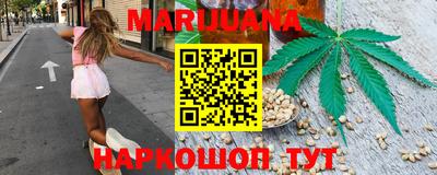 индика Гудермес