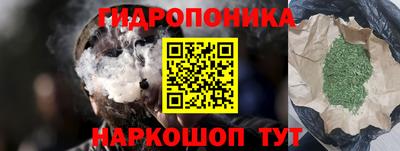индика Гудермес