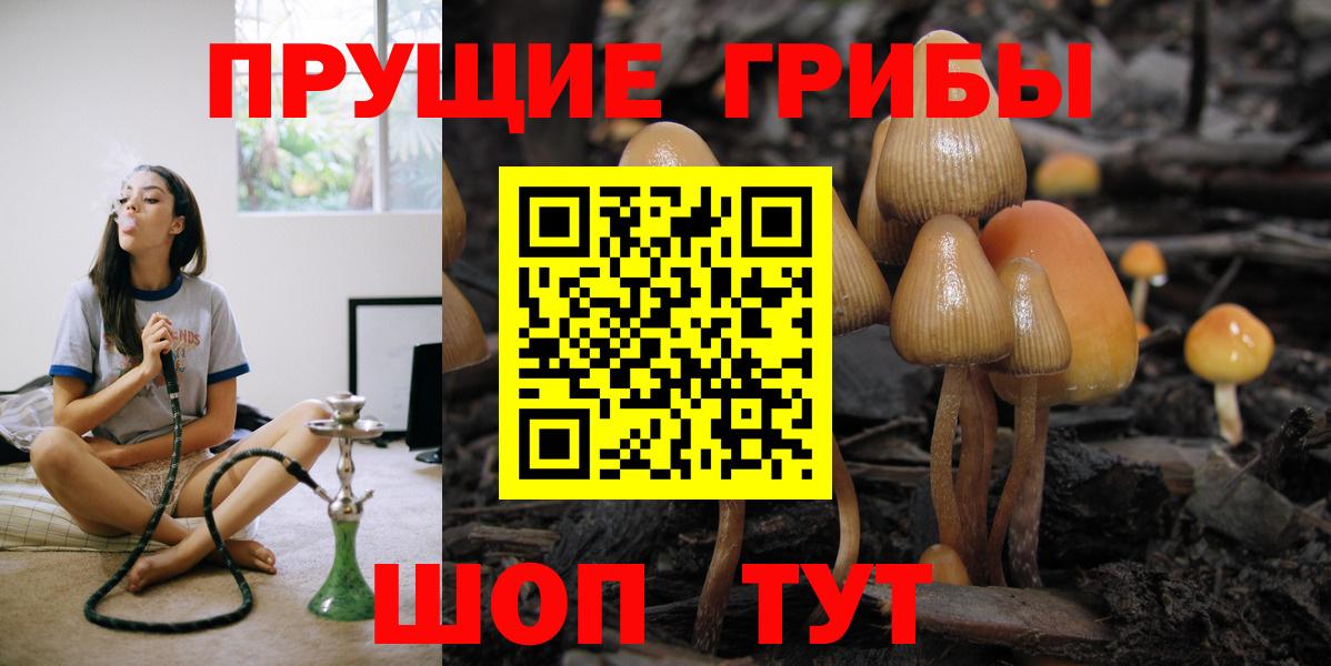Гусев  Галлюциногенные грибы Psilocybine cubensis  Вход с VPN  Псилоцибиновые грибы ЛСД 