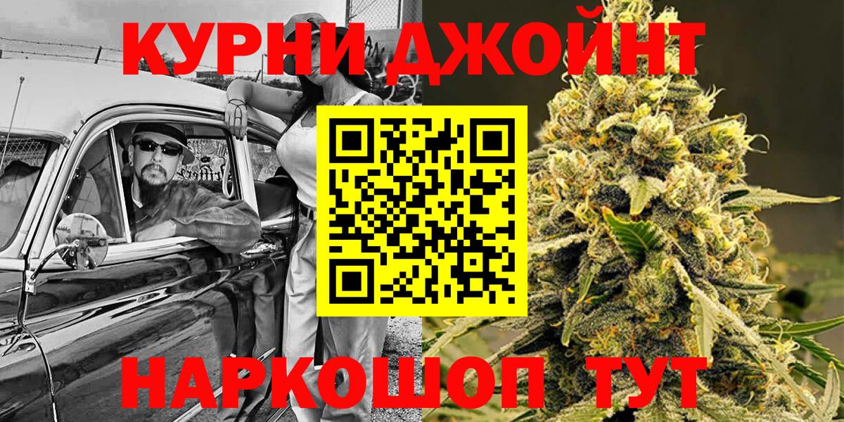 Конопля конопля Гусев